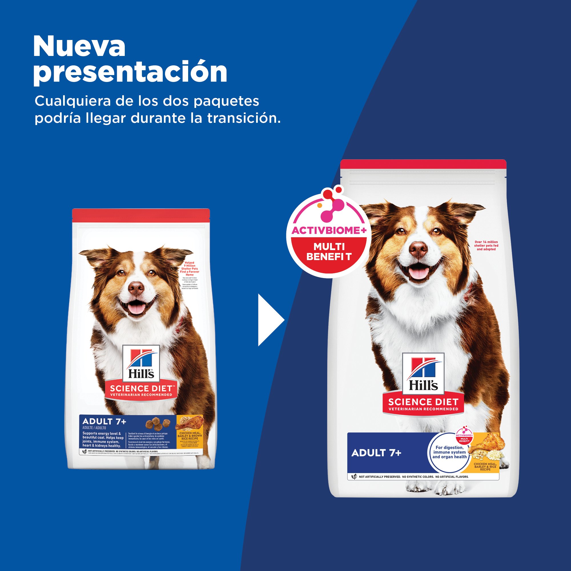 Hill's Science Diet Adult 7+ Alimento para perro senior sabor pollo 12Kg