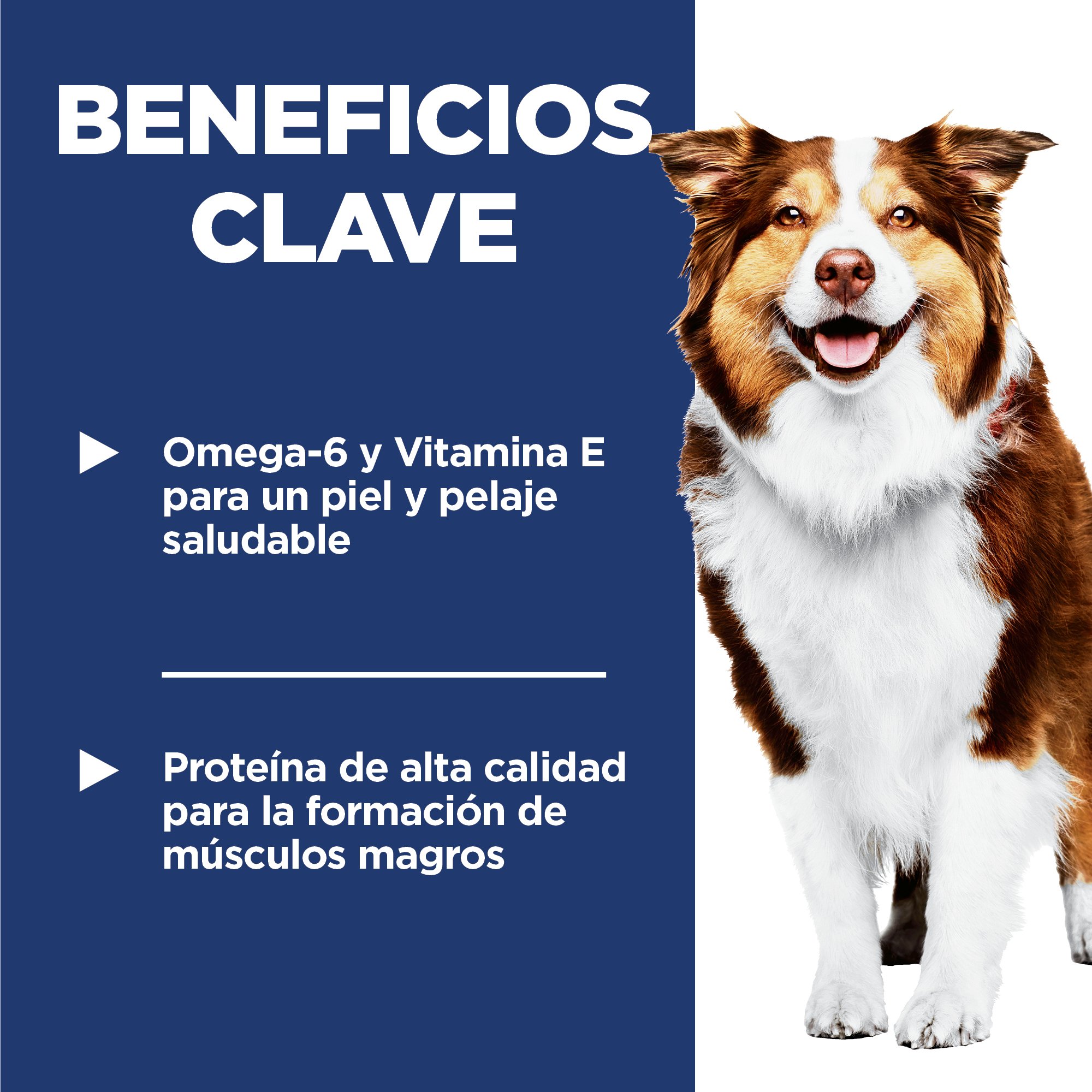 Hill's Science Diet Adult 7+ Alimento para perro senior sabor pollo 12Kg