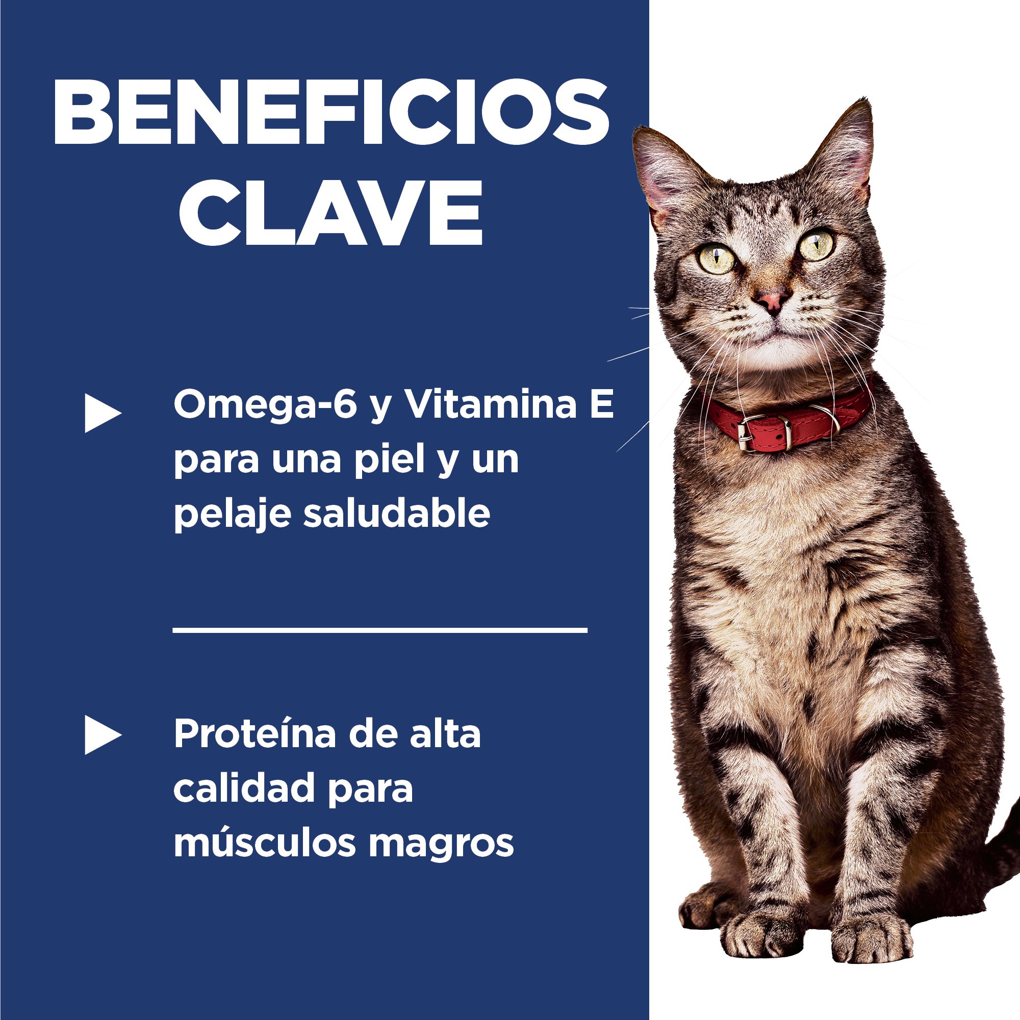 Hill's Science Diet Adult Alimento para gato adulto sabor pollo 7.3Kg