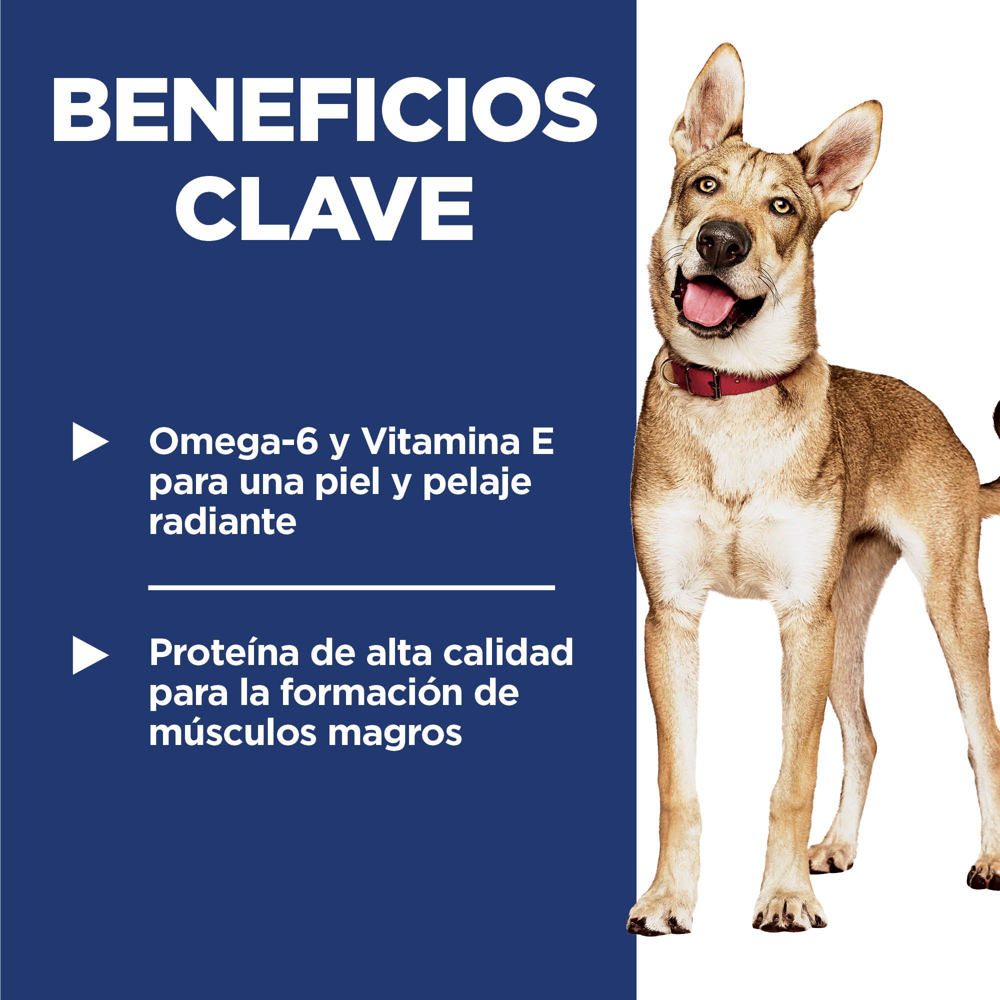 Hill's Science Diet Adult Alimento para perro adulto sabor pollo 15Kg