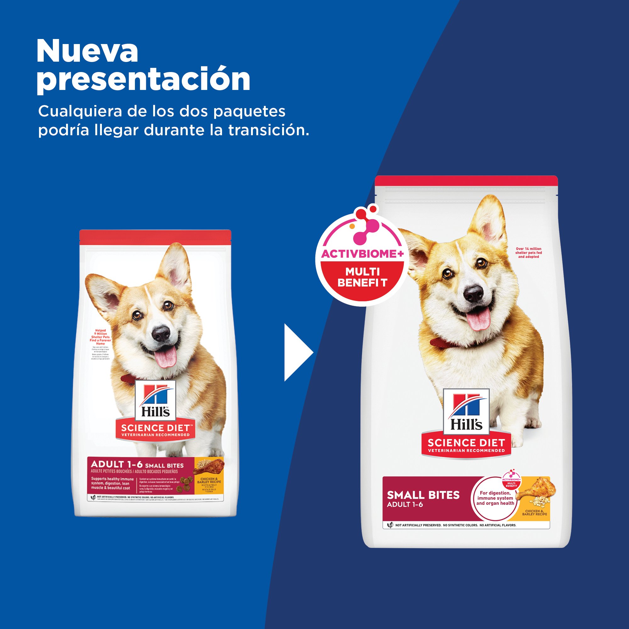 Hill's Science Diet Small Bites Alimento para perros bocados pequeño Receta de Cordero 2 Kg