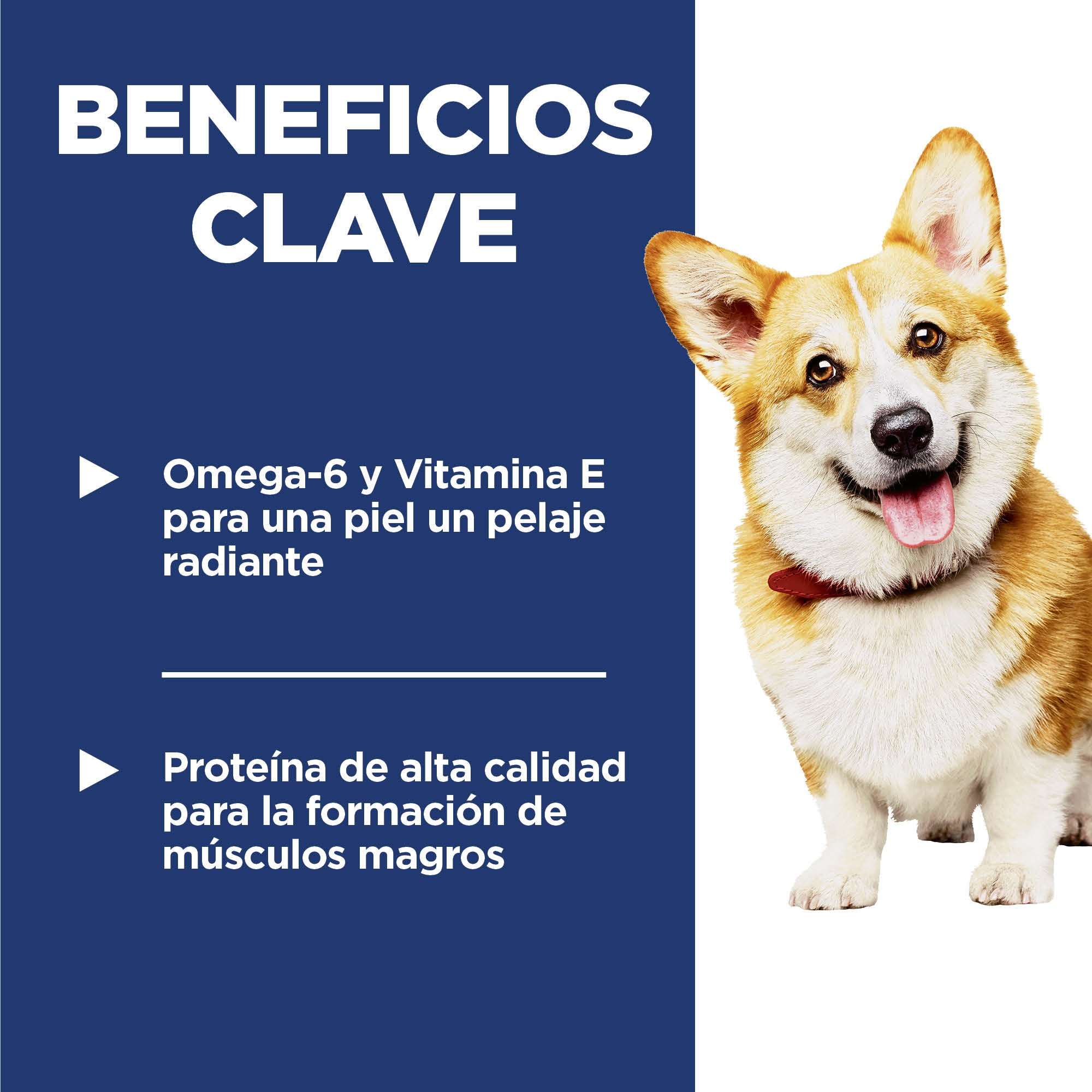 Hill's Science Diet Small Bites Alimento para perros bocados pequeño Receta de Cordero 2 Kg