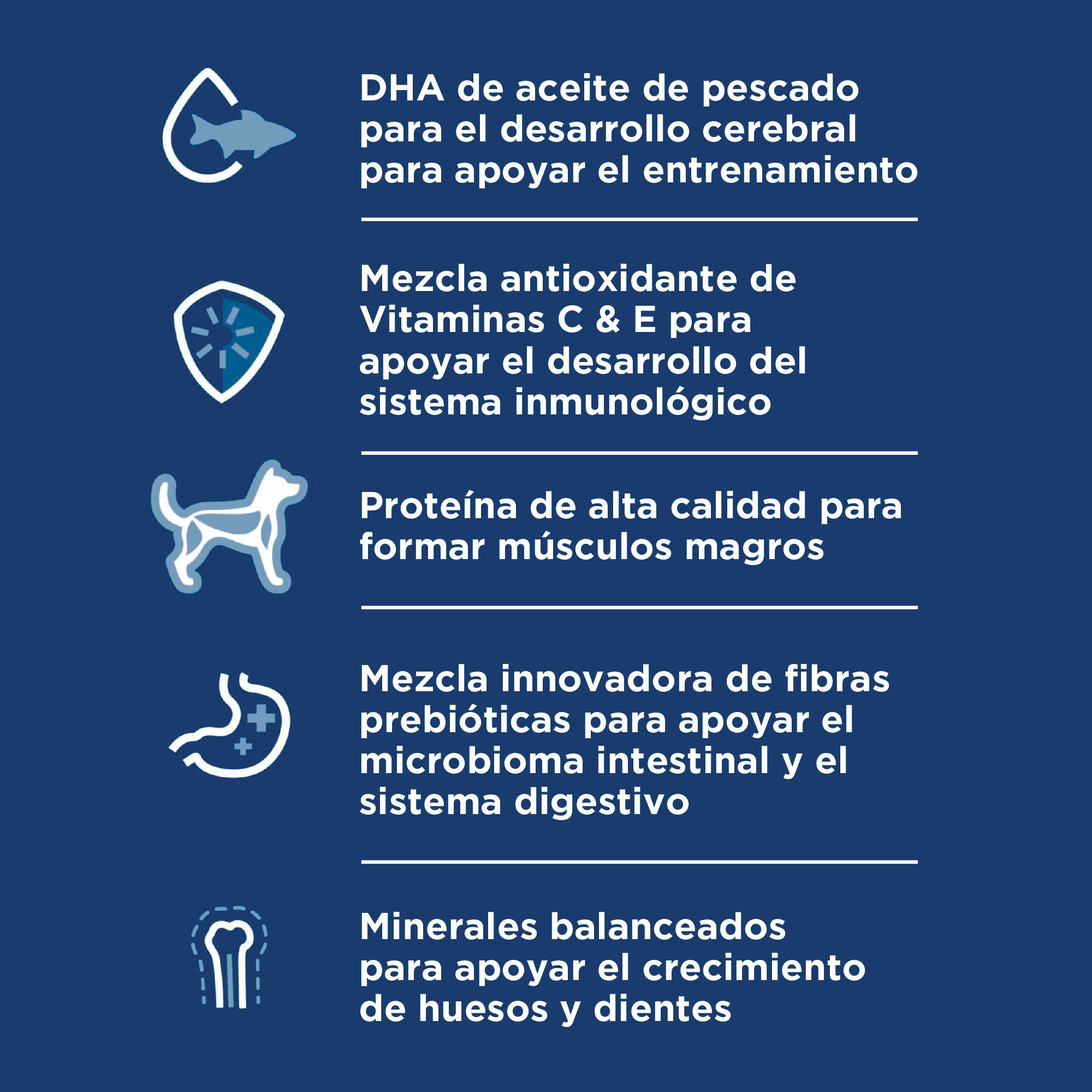 Hill's Science Diet Small&Mini Alimento para perro cachorro raza pequeña 2Kg