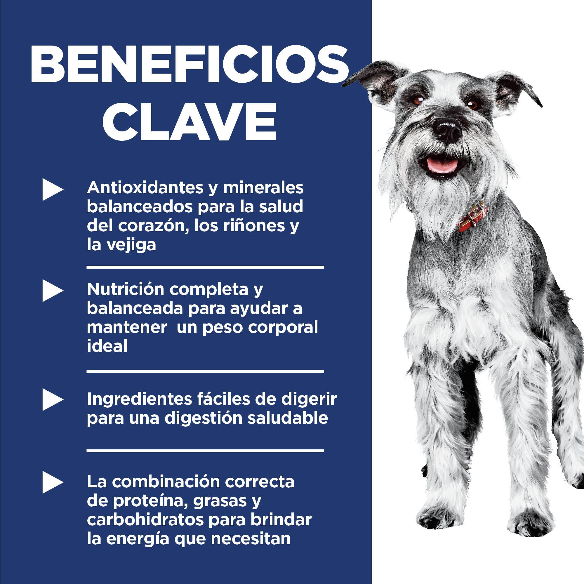 Hill's Science Diet Small&Mini Adult 7+ Alimento para perro senior raza pequeña y mini 2Kg