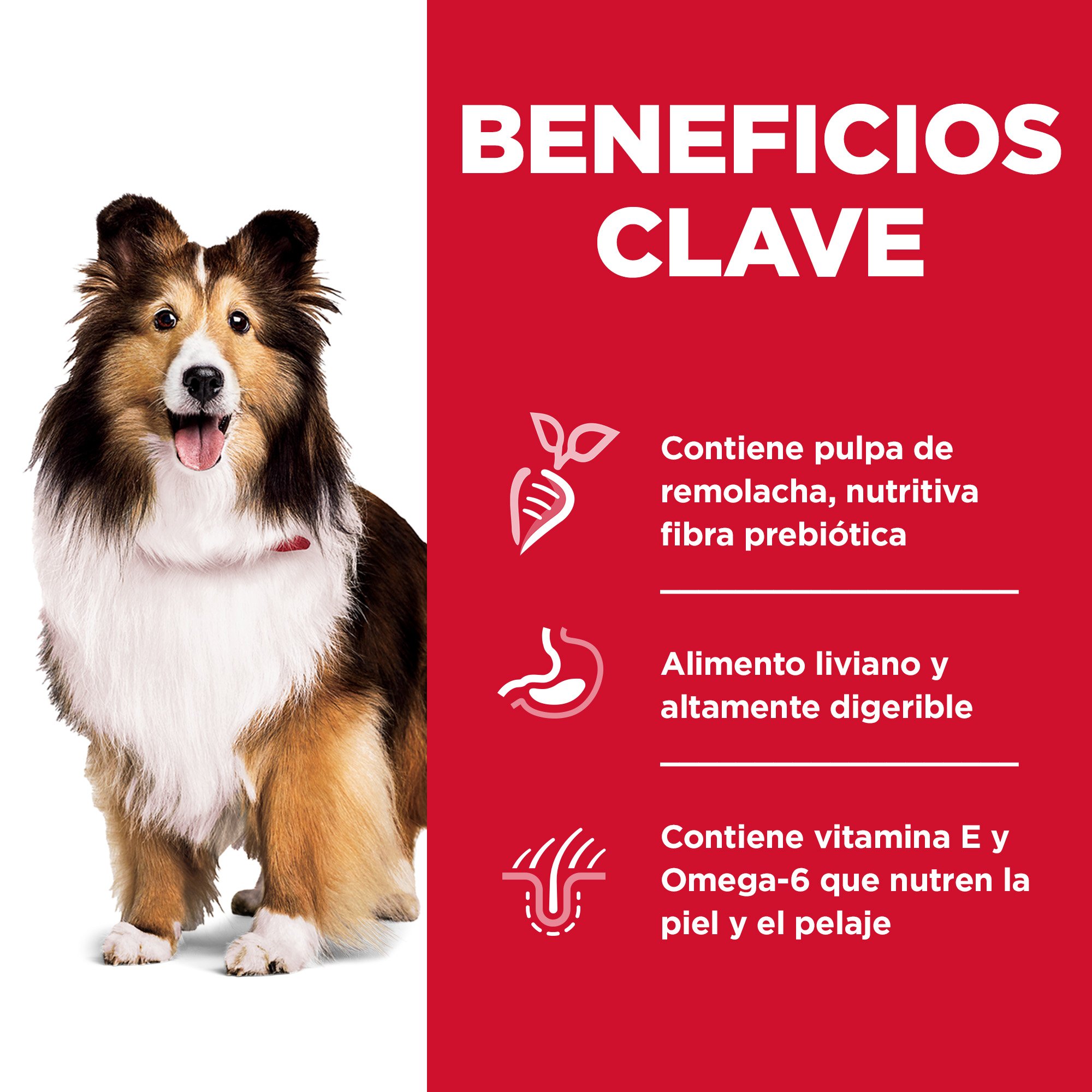 Hill's Science Diet Sensitive Stomach & Skin Alimento para perro adulto raza pequeña piel/estómago sensible 1.8Kg