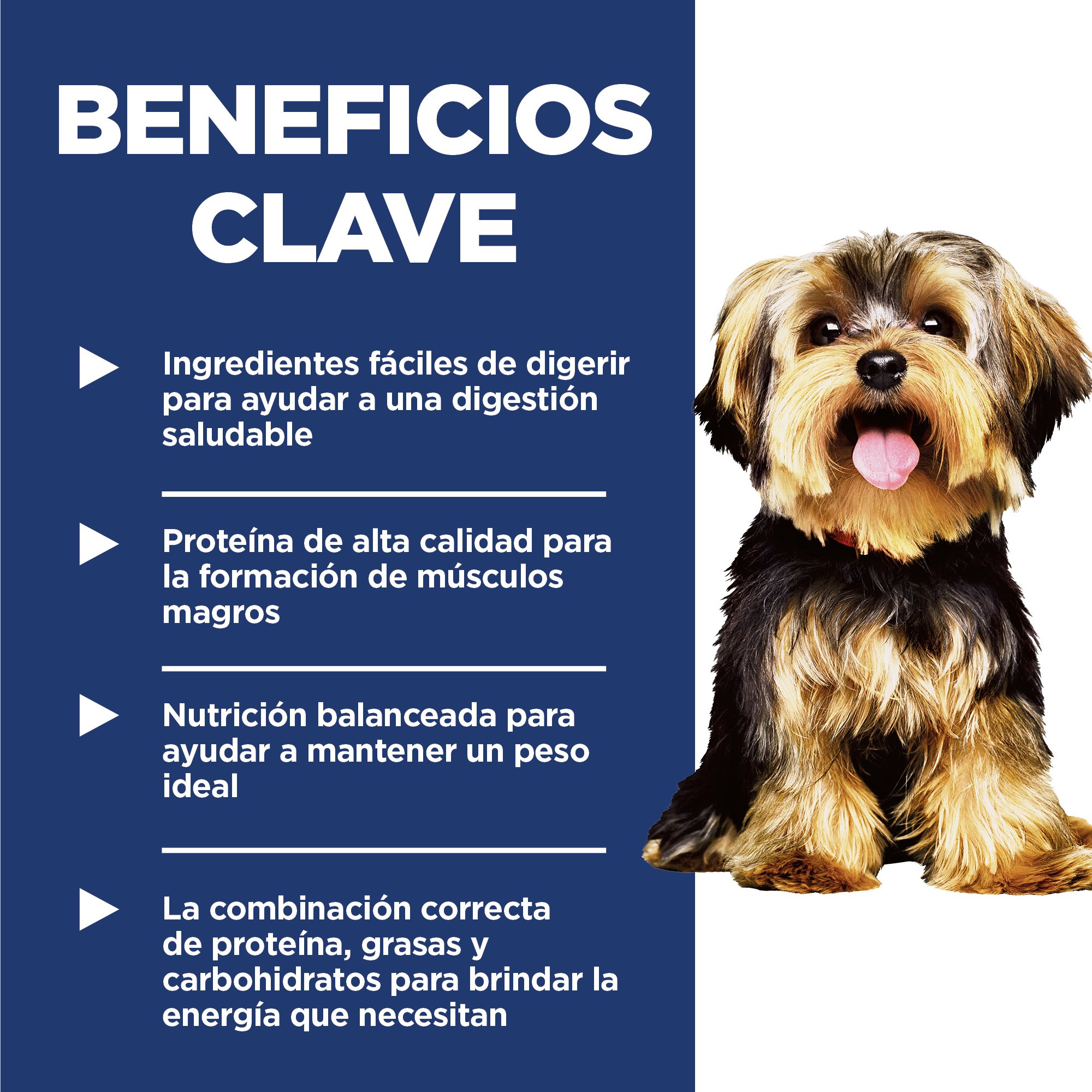 Hill's Science Diet Small&Mini Alimento perro adulto raza pequeña y mini Receta de Pollo 7Kg